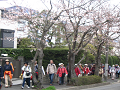 IMG_1195_thumb.png