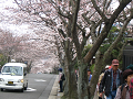 IMG_1201_thumb.png