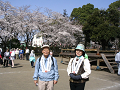 IMG_1914_thumb.png