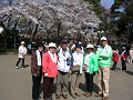 IMG_1916_thumb.png