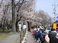 IMG_2011_thumb.png