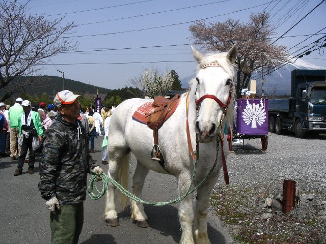 IMG_2029.JPG