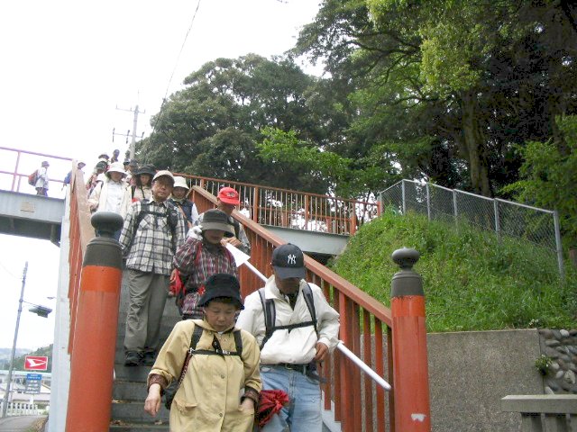 IMG_3350.JPG