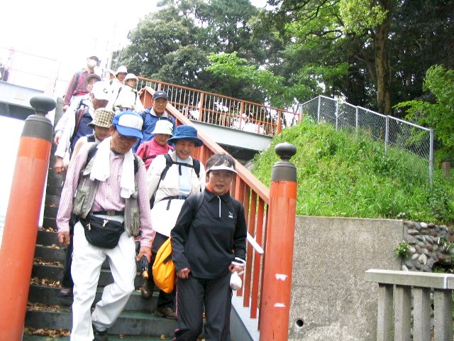 IMG_3361.JPG