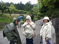 IMG_3141_thumb.png