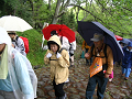 IMG_3160_thumb.png