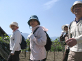 IMG_3749_thumb.png