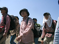 IMG_3773_thumb.png