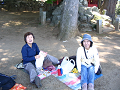 IMG_3617_thumb.png