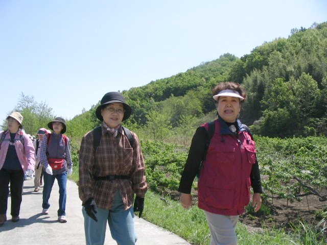 IMG_3443.JPG