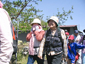 IMG_3445_thumb.png