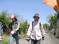 IMG_3505_thumb.png
