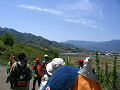 IMG_3524_thumb.png