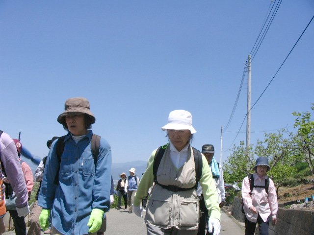 IMG_3536.JPG
