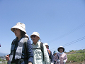 IMG_3558_thumb.png