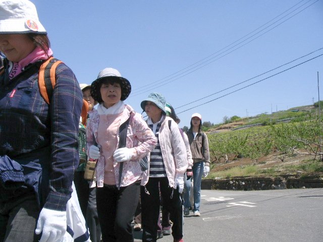 IMG_3559.JPG
