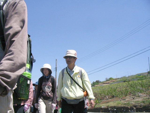 IMG_3567.JPG