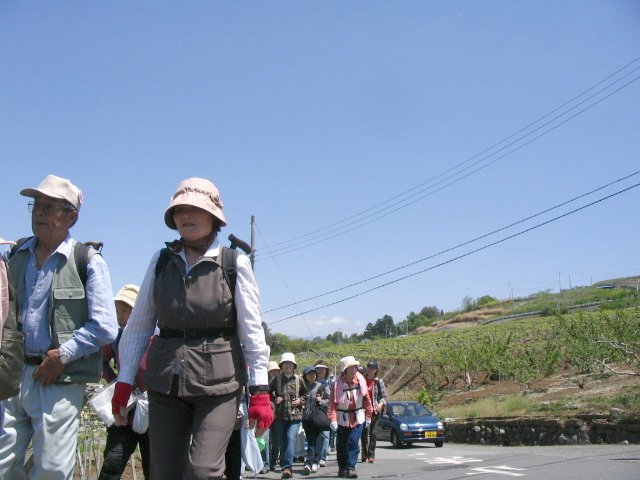 IMG_3568.JPG