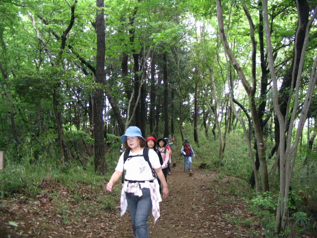 IMG_4276.JPG