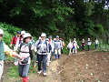 IMG_4321_thumb.png