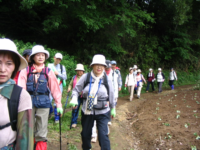 IMG_4322.JPG
