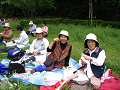 IMG_4217_thumb.png