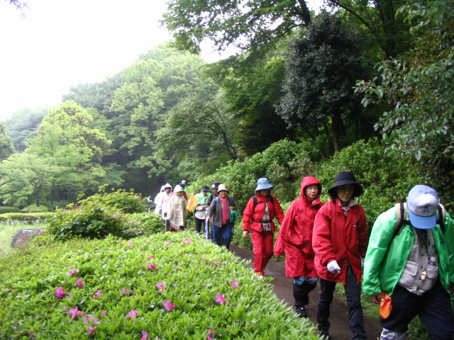 IMG_3986.JPG