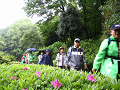 IMG_4000_thumb.png