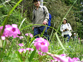 IMG_4145_thumb.png