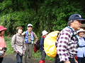 IMG_4161_thumb.png