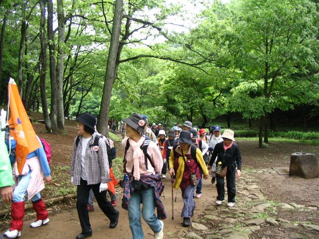 IMG_4170.JPG