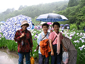 IMG_5671_thumb.png