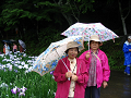IMG_5672_thumb.png