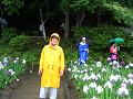 IMG_5673_thumb.png