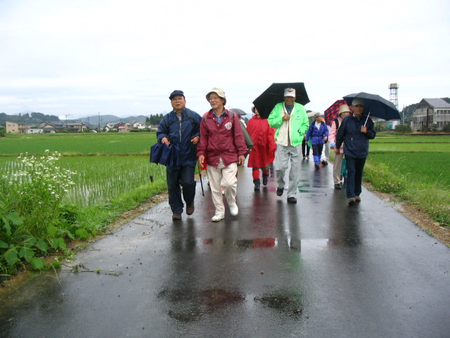 IMG_5293.JPG