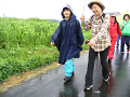 IMG_5303_thumb.png