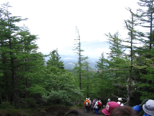IMG_6250.JPG