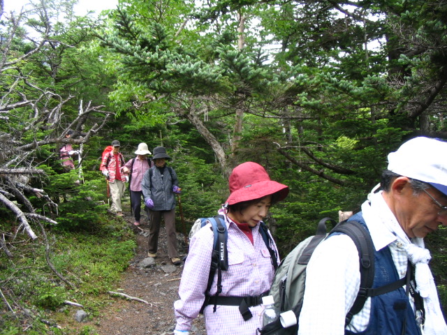 IMG_6260.JPG