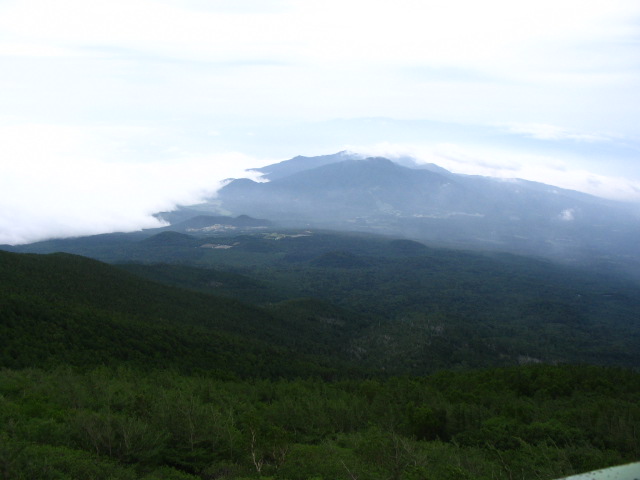IMG_6137.JPG