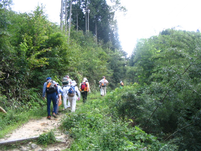 IMG_9645.JPG