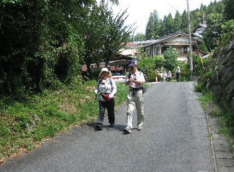 IMG_0905.jpg