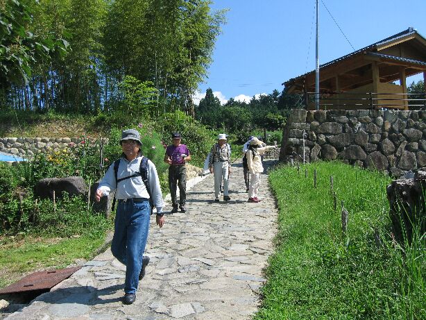 IMG_0971.jpg