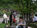 IMG_0555_thumb.png