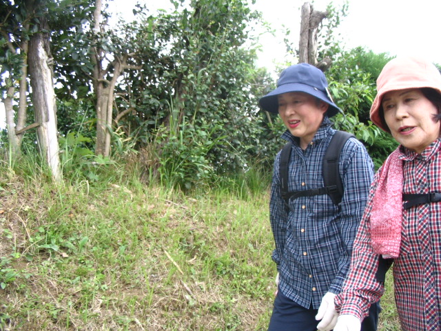 IMG_0338.JPG