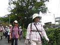IMG_0436_thumb.png