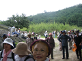 IMG_0516_thumb.png