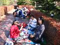 IMG_2250_thumb.png