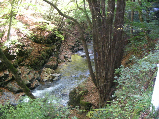 IMG_2304.JPG