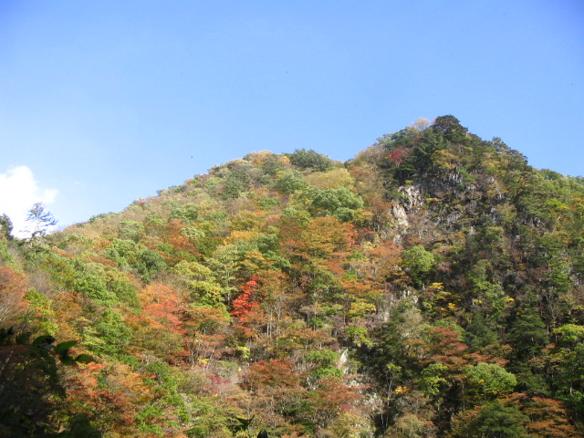 IMG_2313.JPG