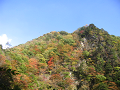 IMG_2313_thumb.png